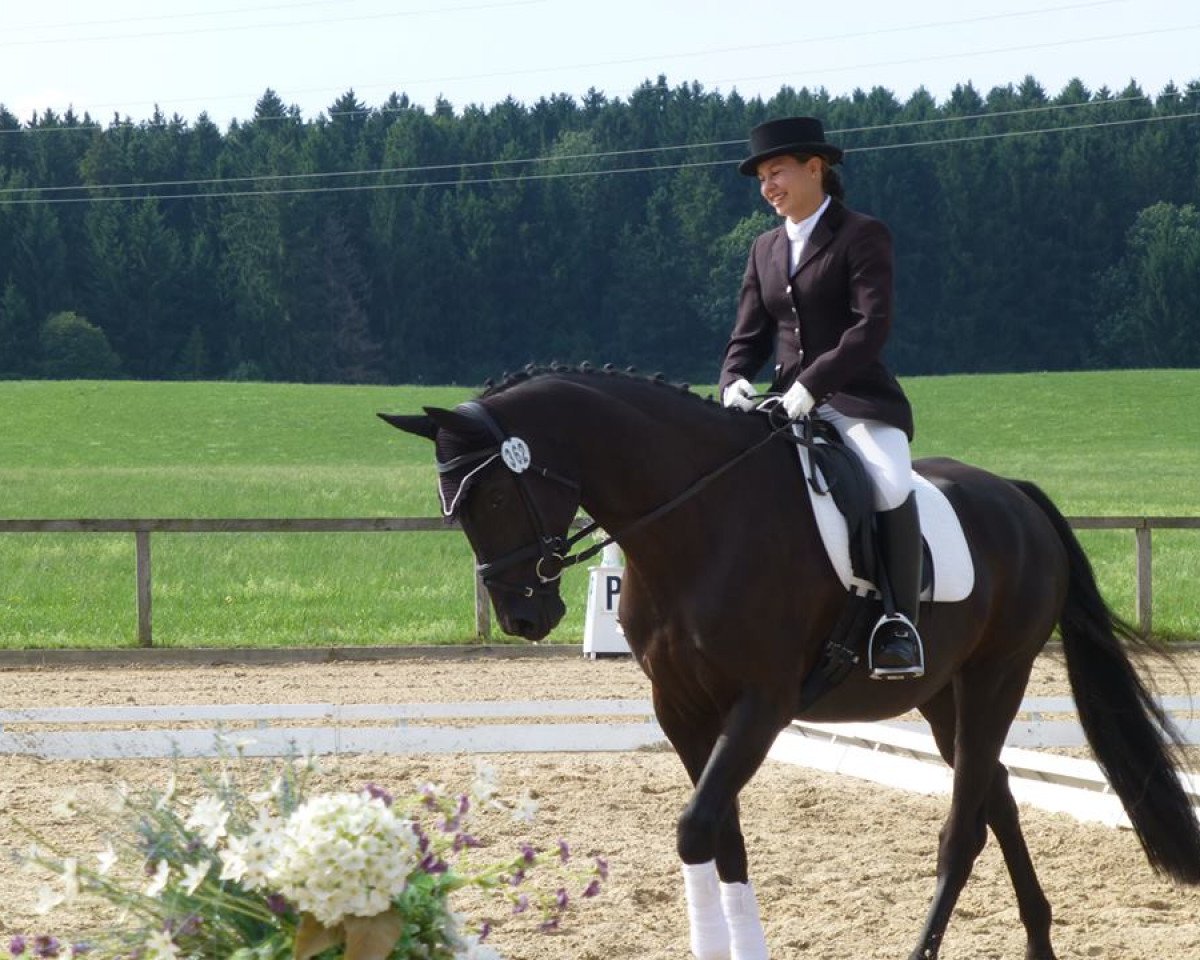 dressage horse Gema Nera (Oldenburg, 2003, from Dr Doolittle 45)