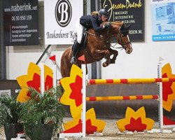 Springpferd Cekina Z (Zangersheide Reitpferd, 2012, von Carthino Z)