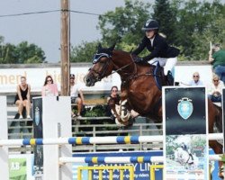 Springpferd Cadenza (KWPN (Niederländisches Warmblut), 2007, von Carthino Z)