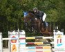 jumper Decimo v.d. Lange Vos 2 (KWPN (Royal Dutch Sporthorse), 2008, from Carthino Z)