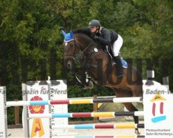 jumper Decimo v.d. Lange Vos 2 (KWPN (Royal Dutch Sporthorse), 2008, from Carthino Z)