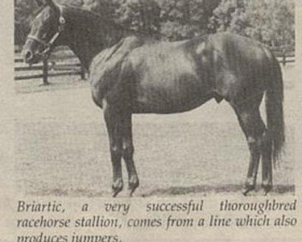 stallion Briartic xx (Thoroughbred, 1968, from Nearctic xx)