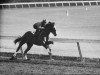 stallion Ridan xx (Thoroughbred, 1959, from Nantallah xx)