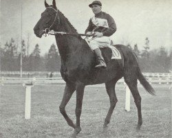 stallion Prince Rose xx (Thoroughbred, 1928, from Rose Prince xx)