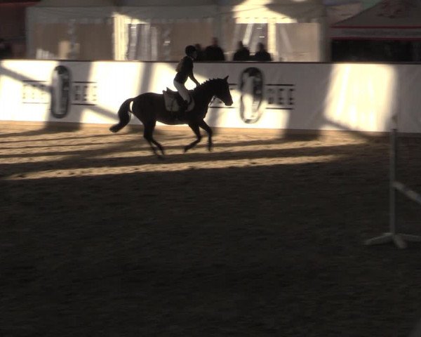 Ponycup Prussendorf 2022