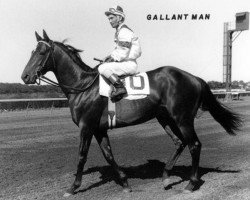 stallion Gallant Man xx (Thoroughbred, 1954, from Migoli xx)