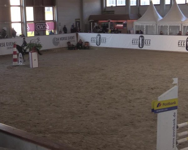 Ponycup Prussendorf 2022