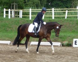 dressage horse Hazel (Trakehner, 2005, from Kapriolan F)