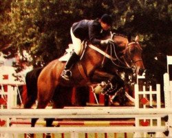 stallion Athos de Ceran AA (Anglo-Arabs, 1988, from Nouredine du Lirac AA)