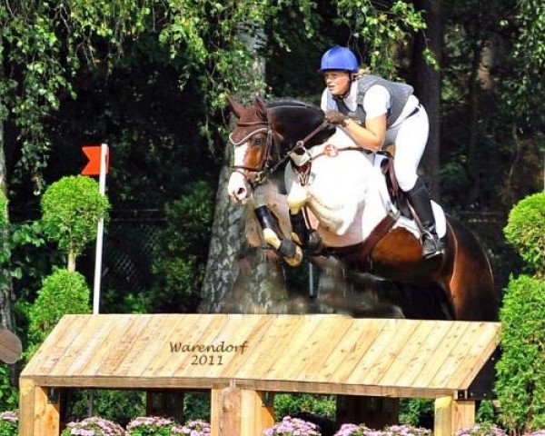 horse Sir Cisco 2 (Mecklenburg, 2006, from Sancisco)
