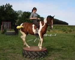 broodmare BestBreed Mustang Reina (Mustang, 2006)