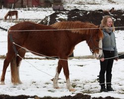 broodmare BestBreed Mustang Mary Lou (Mustang, 2005)