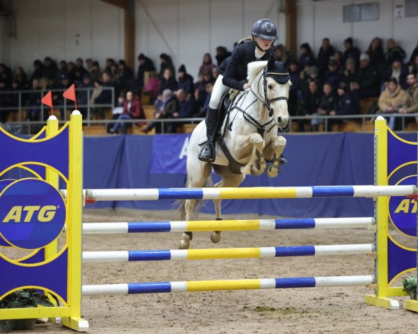 jumper Pimmetje (KWPN (Royal Dutch Sporthorse), 2003)