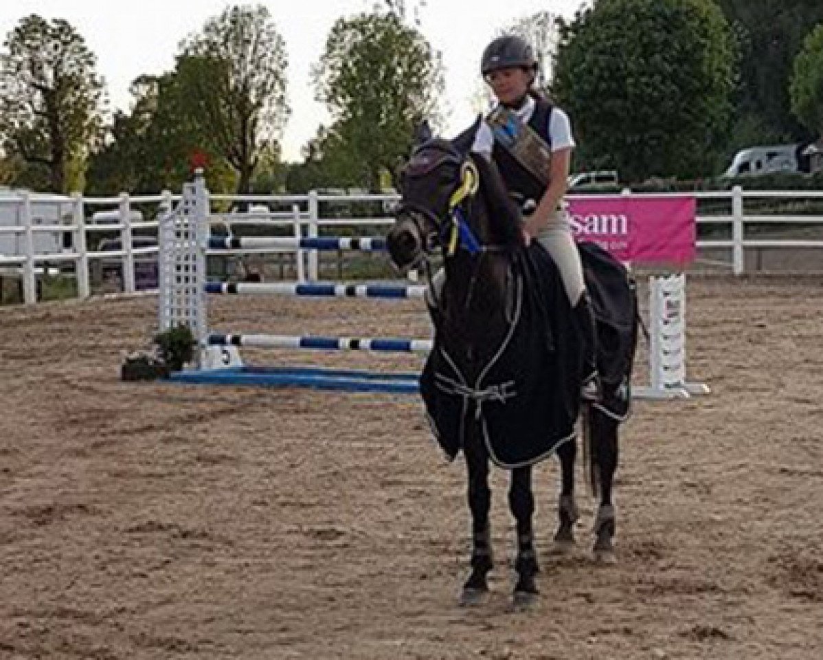 horse Just Bobby Sparrow (Swedish Riding Pony, 2006, from Poetic Justice)