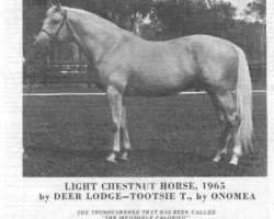 stallion Milkie xx (Thoroughbred, 1966, from Deer Lodge xx)