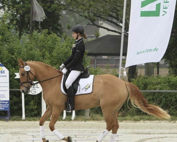 dressage horse Delina 18 (German Riding Pony, 2010, from Danny Gold)