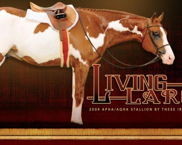 stallion Living Large (Paint Horse, 2009, from These Irons Are Hot)