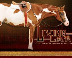 Deckhengst Living Large (Paint Horse, 2009, von These Irons Are Hot)