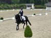 dressage horse Taba Luga (German Riding Pony, 2010, from Trentino)