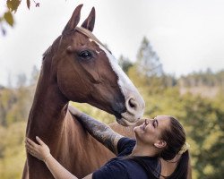 broodmare Fuxsia (Swedish Warmblood, 2007, from For Feeling)