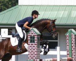 stallion Harmony's Wamberto (KWPN (Royal Dutch Sporthorse), 2003, from Rousseau)