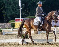 dressage horse Happy-Go-Lucky (Trakehner, 2009, from Zauberfürst)