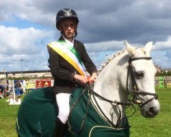 dressage horse Cappagh Sparrow (Connemara Pony, 1995, from Ashfield Sparrow)