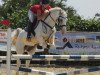 Springpferd Cash Snowy (Tinker / Irish Cob / Gypsy Vanner, 2005, von Unbekannt Tinker)