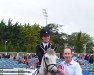 dressage horse Lisrua Heide (Connemara Pony, 2007, from Ashfield Romeo)