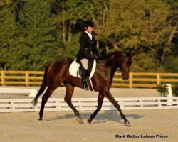 horse Heaven's Nevaeh xx (Thoroughbred, 2006, from Cathy's Regal Son xx)