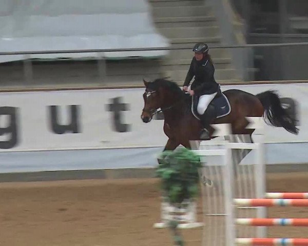 Reitturnier Kreuth 2022