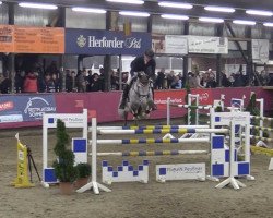 jumper Ireland (KWPN (Royal Dutch Sporthorse), 2013, from Corland)