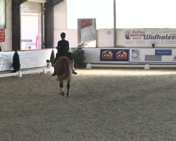 Reitturnier Karlsfeld 2022