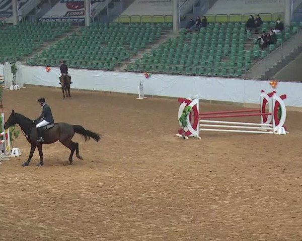 Reitturnier Kreuth 2022