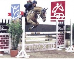 jumper Golden Girl 149 (Hanoverian, 2003, from Goodman)