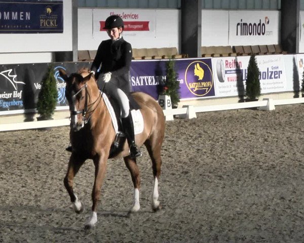 Reitturnier Karlsfeld 2022