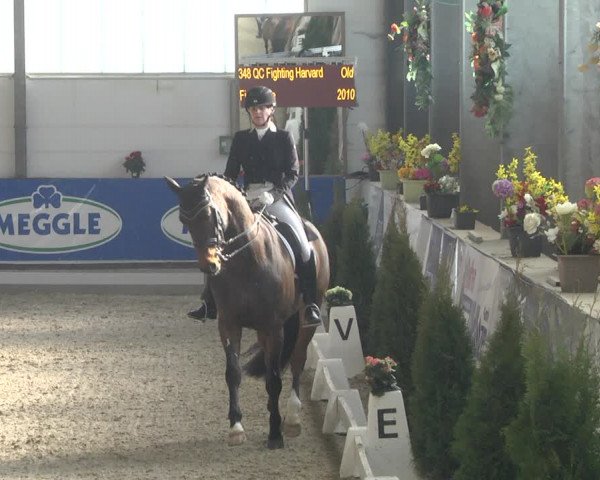Reitturnier Karlsfeld 2022