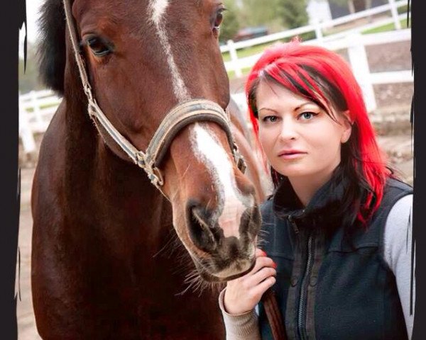 horse Purple Rain (German Sport Horse, 2005, from Pius)