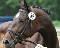 broodmare Dolce vita (Hanoverian, 2009, from Depardieu 11)