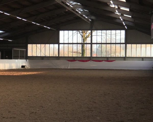 Reitturnier Greven 2022