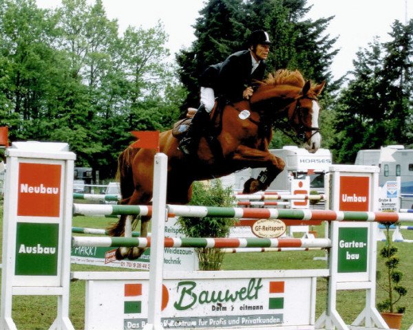 broodmare Chanelle 15 (KWPN (Royal Dutch Sporthorse), 2006, from Tolano van het Riethof)