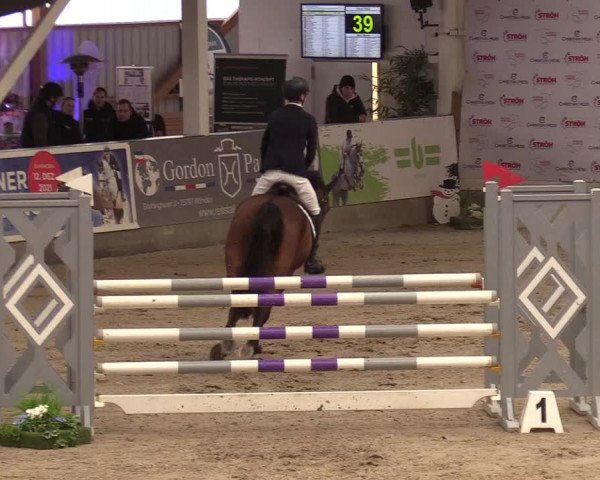 11. Nordic Jumping Event in Negernbötel 2022 – Abschlussturnier mit LVM Finale Dressur/Springen