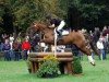 jumper Only You MG (Trakehner, 2004, from Houston)