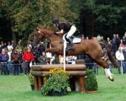 Springpferd Only You MG (Trakehner, 2004, von Houston)