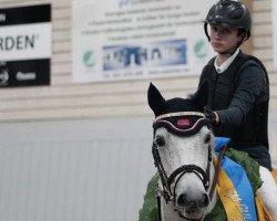 jumper Poetics Floura (Connemara Pony, 2007, from Poetic Justice)