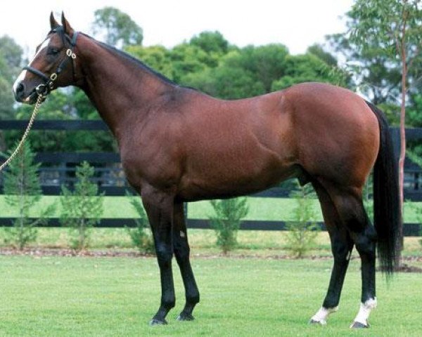 stallion Orpen xx (Thoroughbred, 1996, from Lure xx)