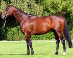 stallion Gentlewave xx (Thoroughbred, 2003, from Monsun xx)