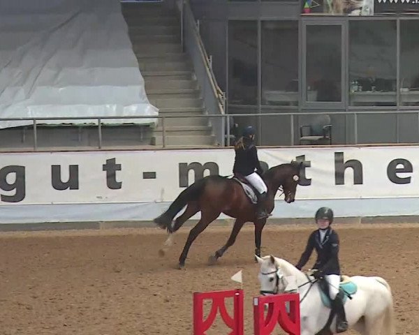 Reitturnier Kreuth 2022