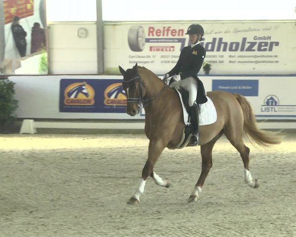 Reitturnier Karlsfeld 2022