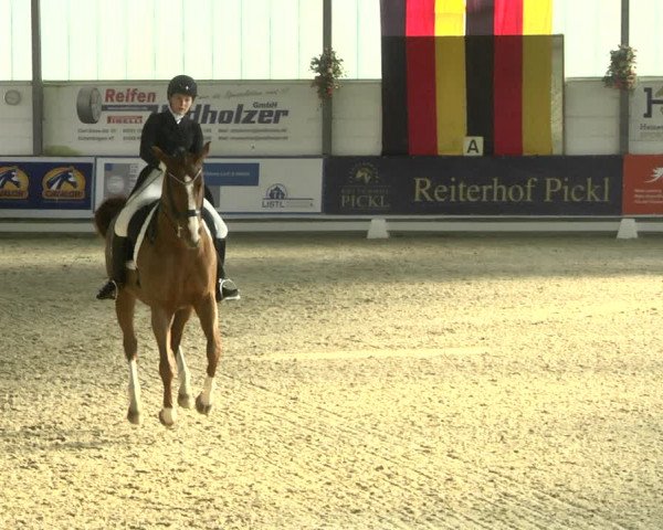 Reitturnier Karlsfeld 2022
